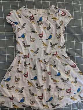 Boden birds dress